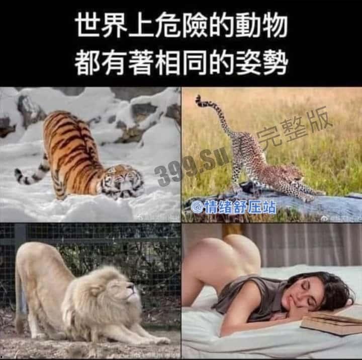 轻松一刻 搞笑集锦  原来陈泽在这里直播！ 第7张