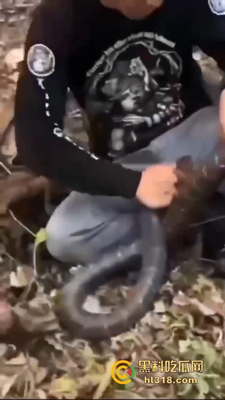 上山采蘑菇偶遇眼镜蛇咬鸡巴，透过裤子咬着死死不放，这是不是感觉不能要了呀！  第1张