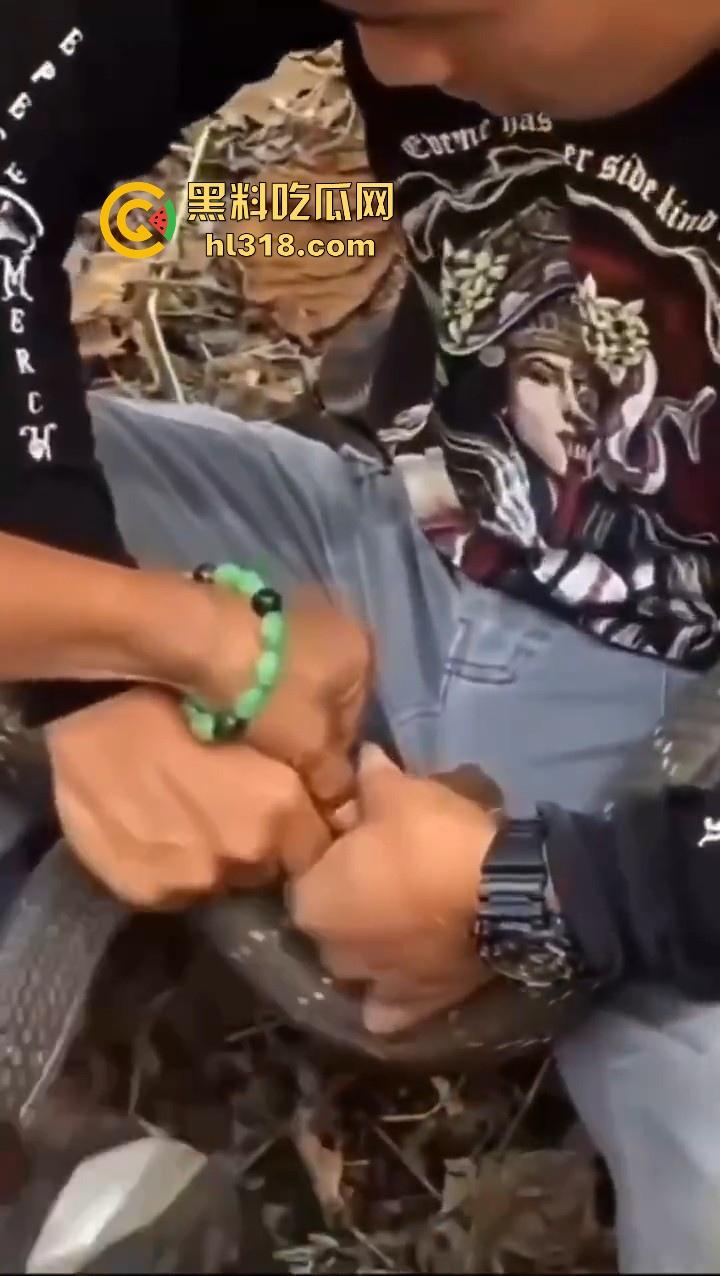 上山采蘑菇偶遇眼镜蛇咬鸡巴，透过裤子咬着死死不放，这是不是感觉不能要了呀！  第4张