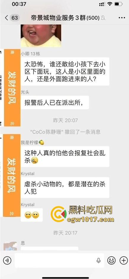 广东揭阳缔景城小区有人虐猫，深夜拿弓箭弓弩射小区小猫咪，在小区乱射箭，如入无人之境，今天敢射猫明天就敢射人！  第2张