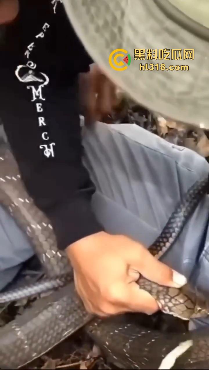 上山采蘑菇偶遇眼镜蛇咬鸡巴，透过裤子咬着死死不放，这是不是感觉不能要了呀！  第8张