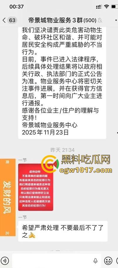 广东揭阳缔景城小区有人虐猫，深夜拿弓箭弓弩射小区小猫咪，在小区乱射箭，如入无人之境，今天敢射猫明天就敢射人！  第5张
