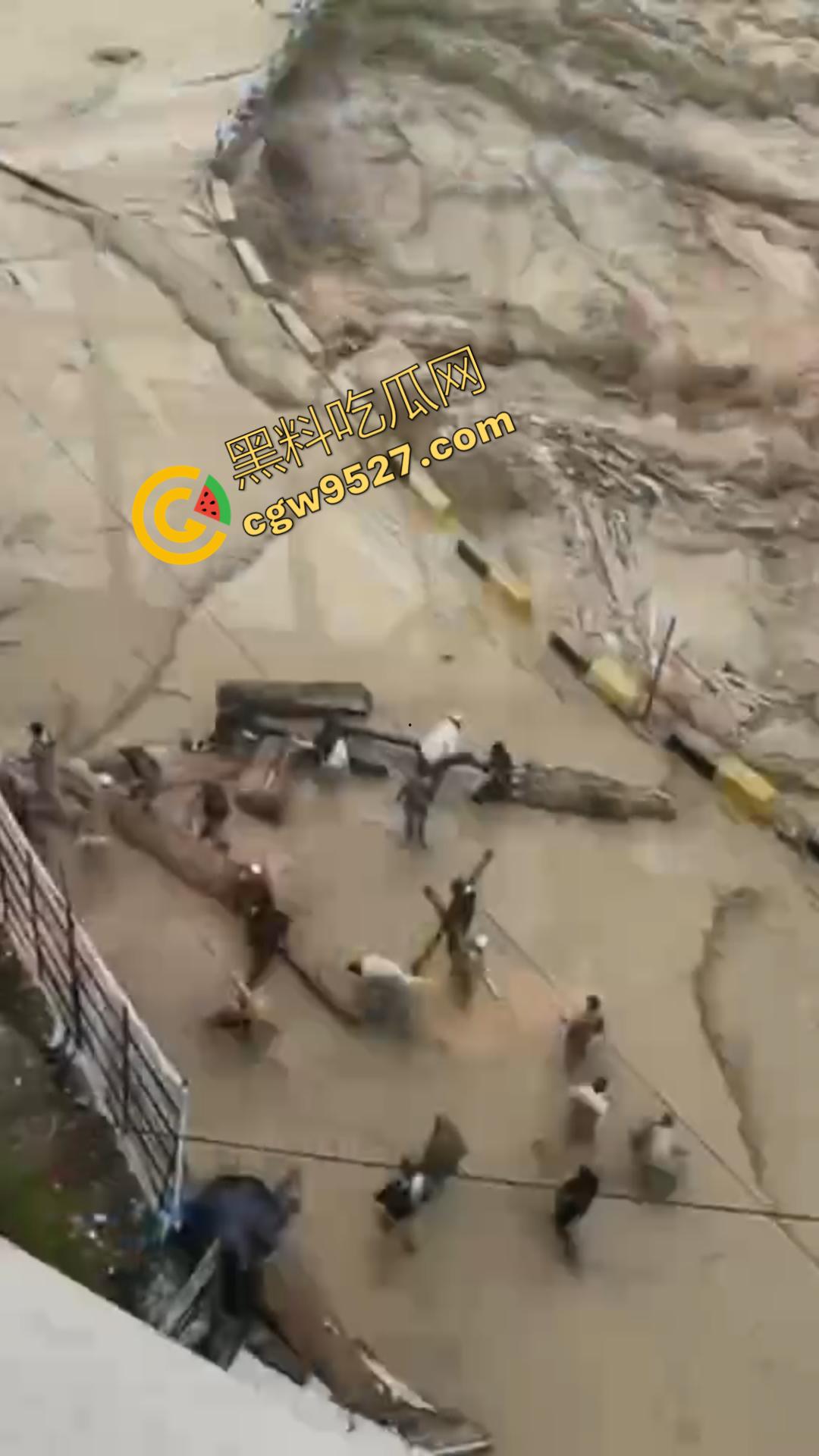 国外大瓜！巴基斯坦洪灾肆虐，千人死亡，牲畜死伤惨重，全国超半数地区被淹！  第5张