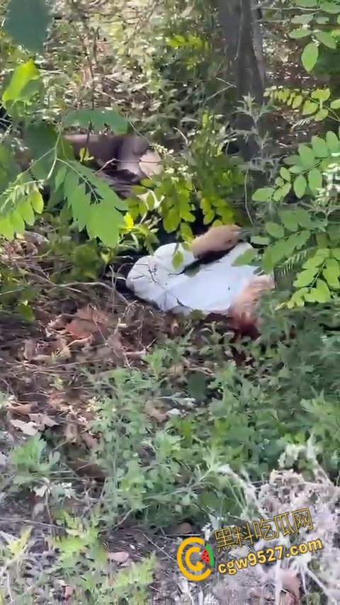 抖音清纯机车妹【是肉肉呀】，路边高速压弯，不慎滑倒人都甩飞了，这下全村又得开席了 !  第5张