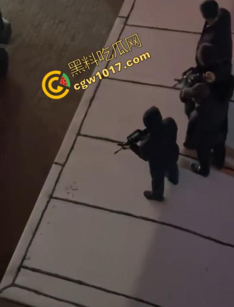 惊讶！宝清市街头惊现巨熊，警察开枪击毙，血洒街头，网友热议动物保护与城市安全！  第3张