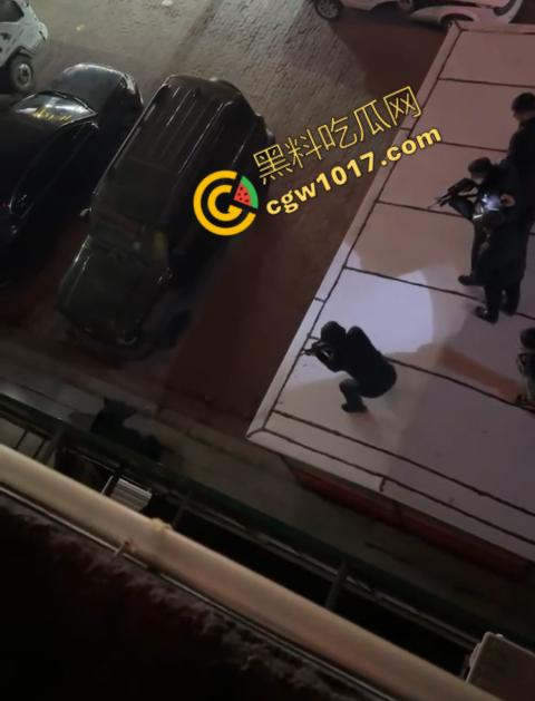 惊讶！宝清市街头惊现巨熊，警察开枪击毙，血洒街头，网友热议动物保护与城市安全！  第4张