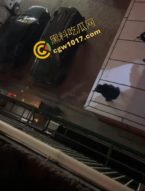 惊讶！宝清市街头惊现巨熊，警察开枪击毙，血洒街头，网友热议动物保护与城市安全！  第5张