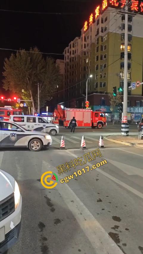 惊讶！宝清市街头惊现巨熊，警察开枪击毙，血洒街头，网友热议动物保护与城市安全！  第8张