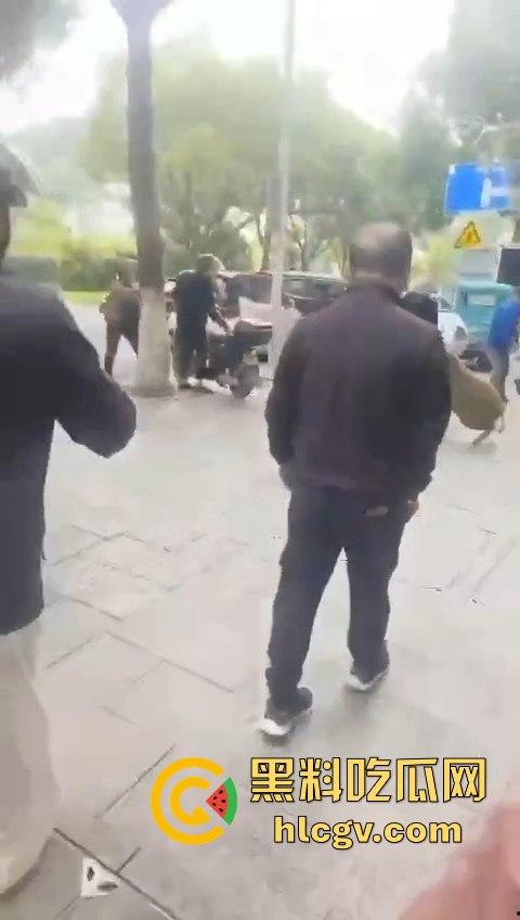 网友投稿浙江建德新安江惊现大野猪！早上9点横冲直撞，场面惊险万分！  第7张