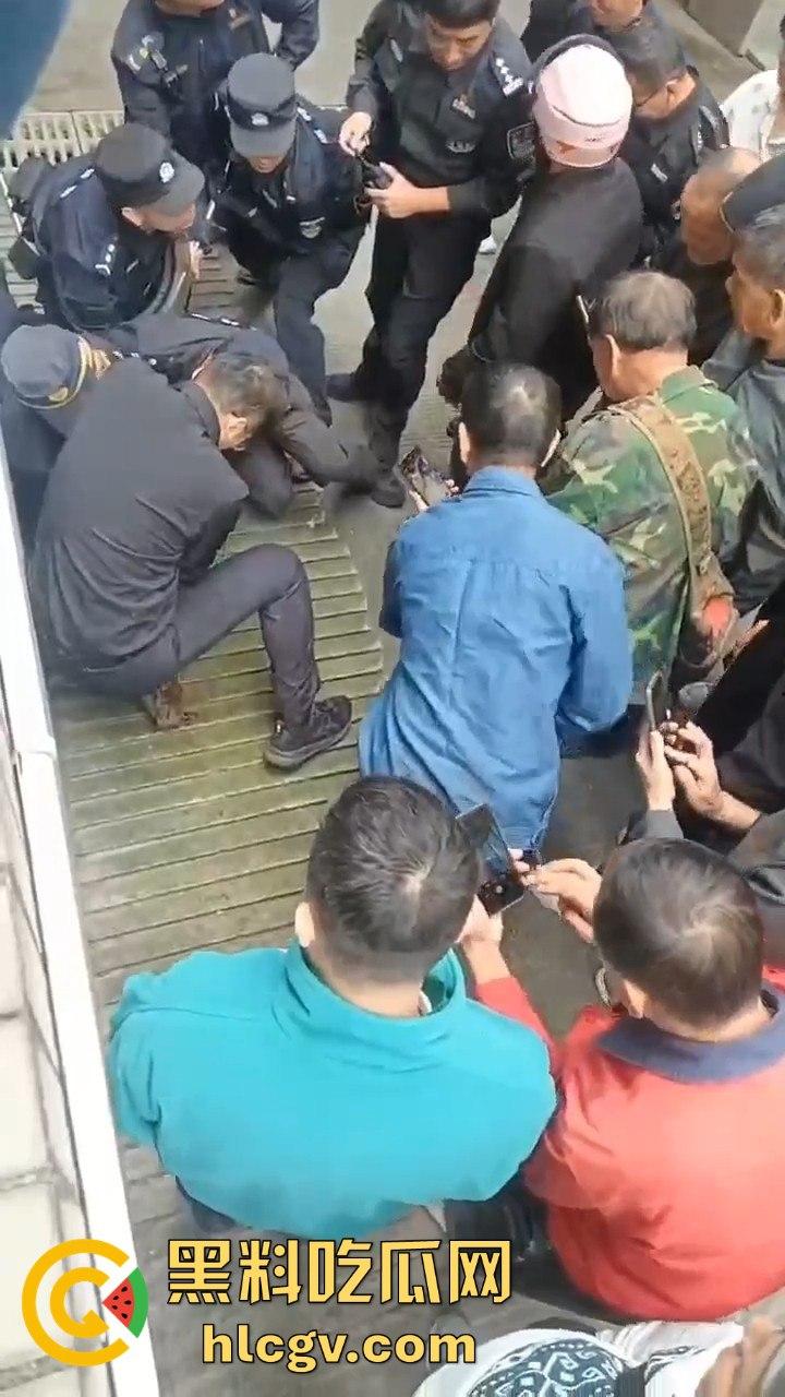 网友投稿浙江建德新安江惊现大野猪！早上9点横冲直撞，场面惊险万分！  第8张