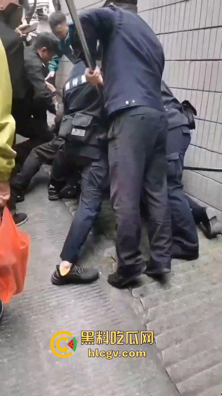 网友投稿浙江建德新安江惊现大野猪！早上9点横冲直撞，场面惊险万分！  第10张