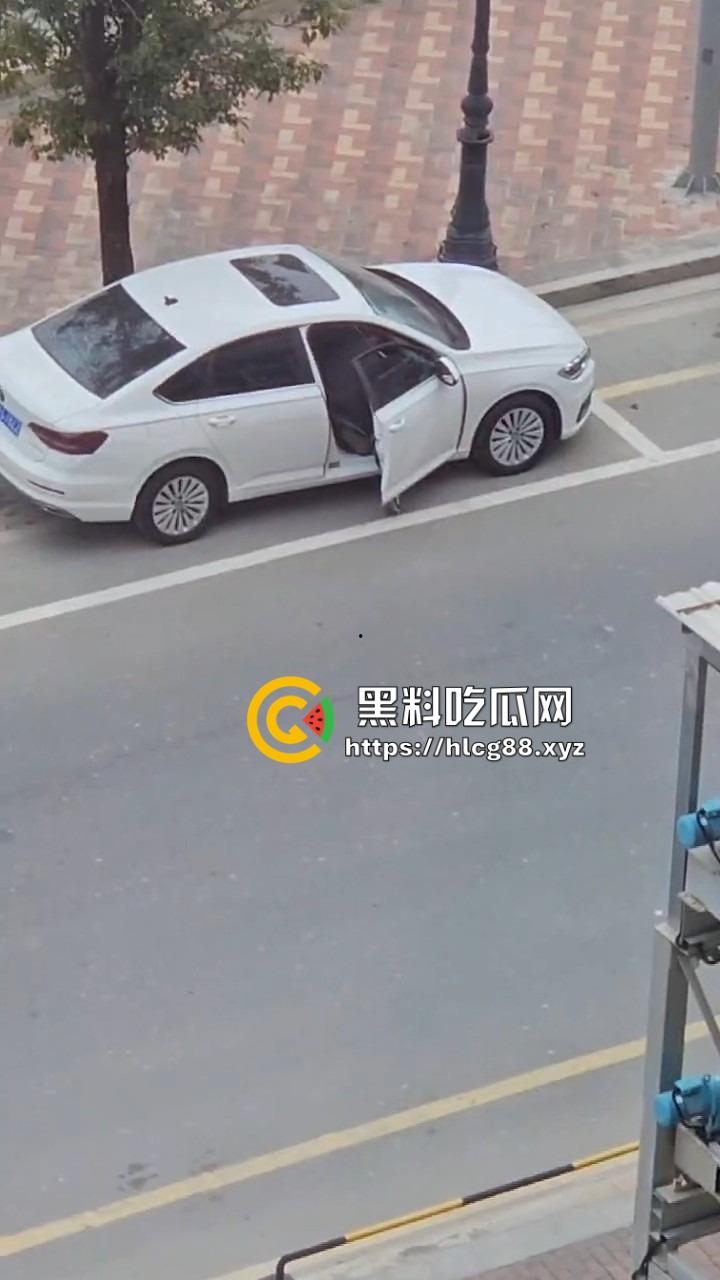 河南偷车小分队大白天开抢,一人爆车门硬撬,两傻逼骑小电驴望风,天网监控算个屁! 第6张 河南偷车小分队大白天开抢,一人爆车门硬撬,两傻逼骑小电驴望风,天网监控算个屁! 第6张