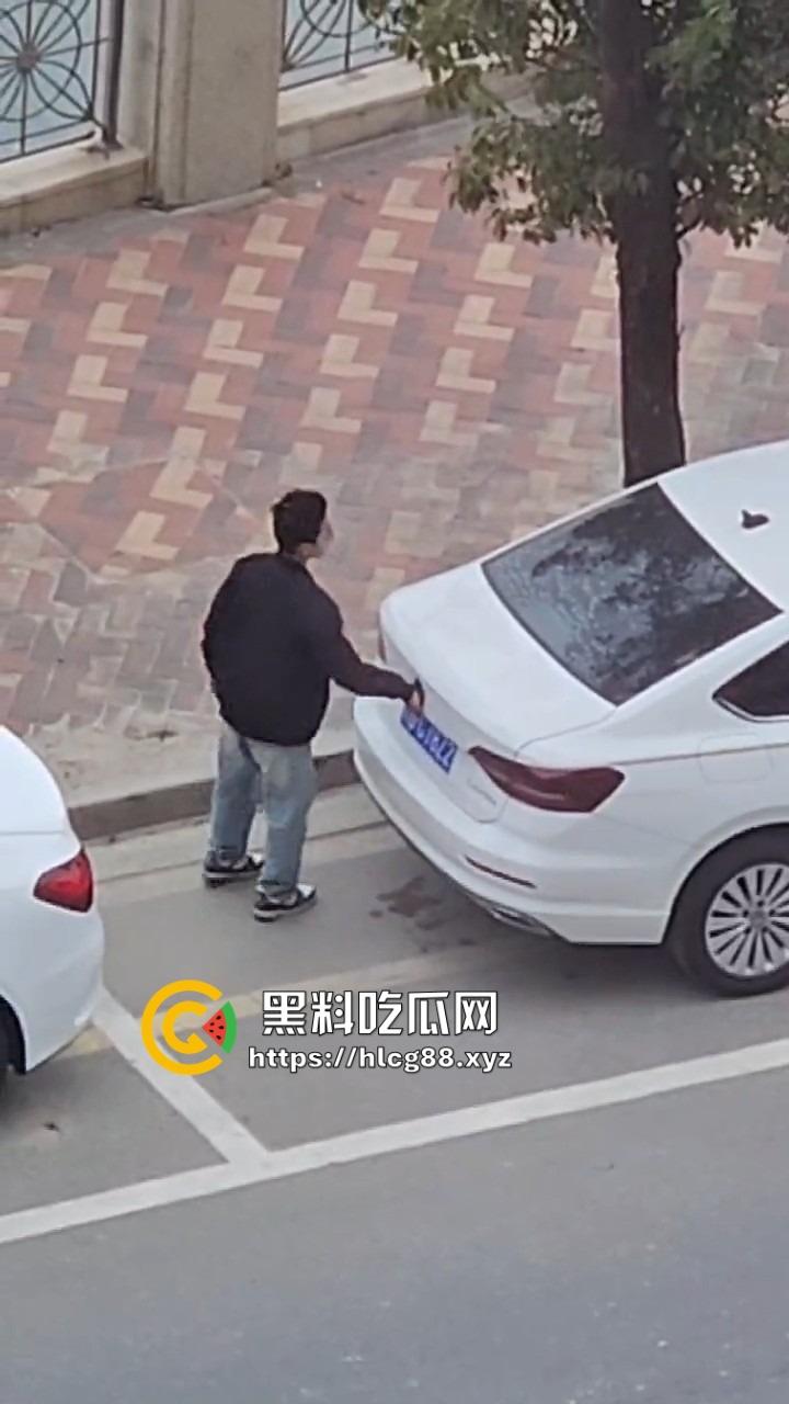 河南偷车小分队大白天开抢,一人爆车门硬撬,两傻逼骑小电驴望风,天网监控算个屁! 第8张 河南偷车小分队大白天开抢,一人爆车门硬撬,两傻逼骑小电驴望风,天网监控算个屁! 第8张