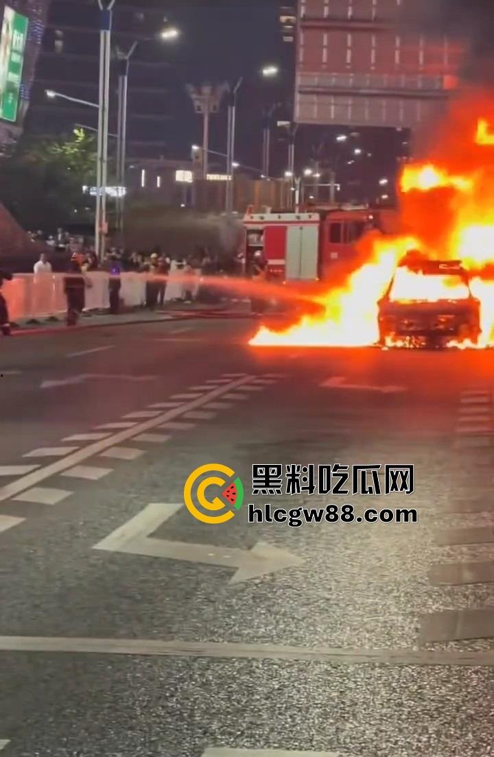广州南村万博警车大火狂烧成火球,现场围满吃瓜群众狂拍视频,这火势真是牛逼大了! 第5张 广州南村万博警车大火狂烧成火球,现场围满吃瓜群众狂拍视频,这火势真是牛逼大了! 第5张