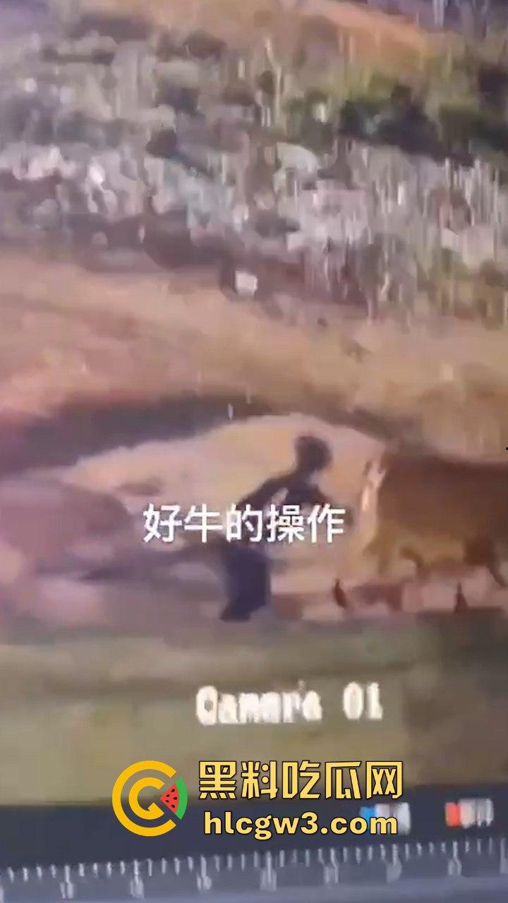 真实操兽：饥渴小哥不吹牛逼操牛逼 拔屌暴插大母牛 省钱免费逼还大 论狠人你是第一人！  第1张