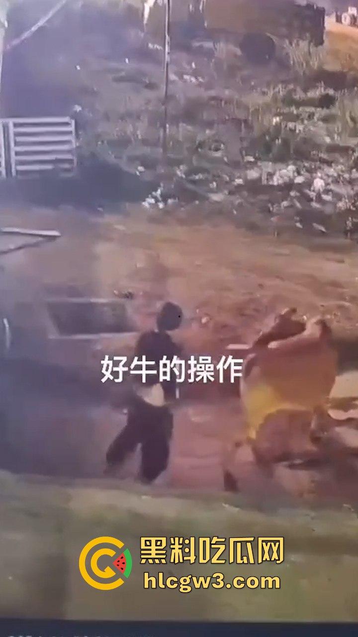 真实操兽：饥渴小哥不吹牛逼操牛逼 拔屌暴插大母牛 省钱免费逼还大 论狠人你是第一人！  第3张