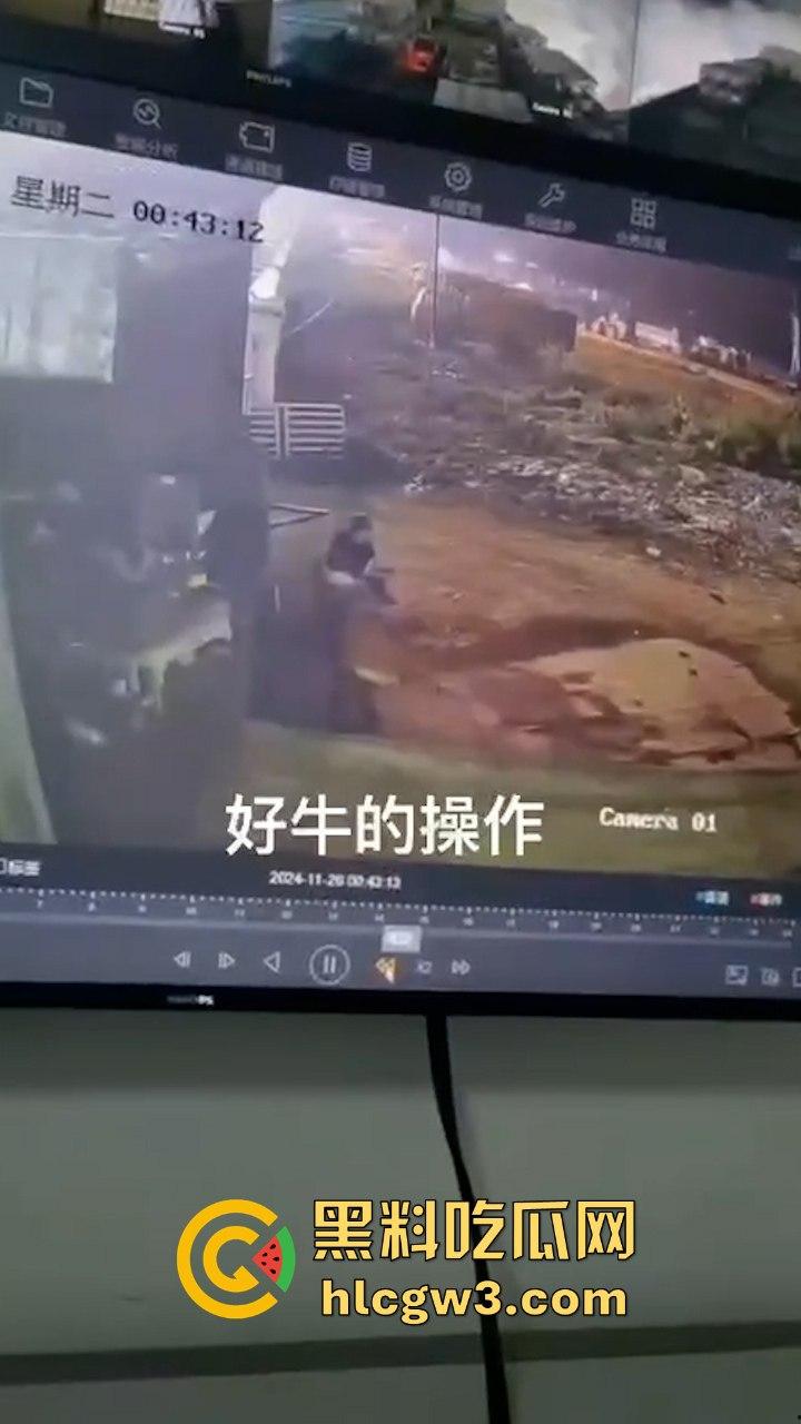 真实操兽：饥渴小哥不吹牛逼操牛逼 拔屌暴插大母牛 省钱免费逼还大 论狠人你是第一人！  第5张