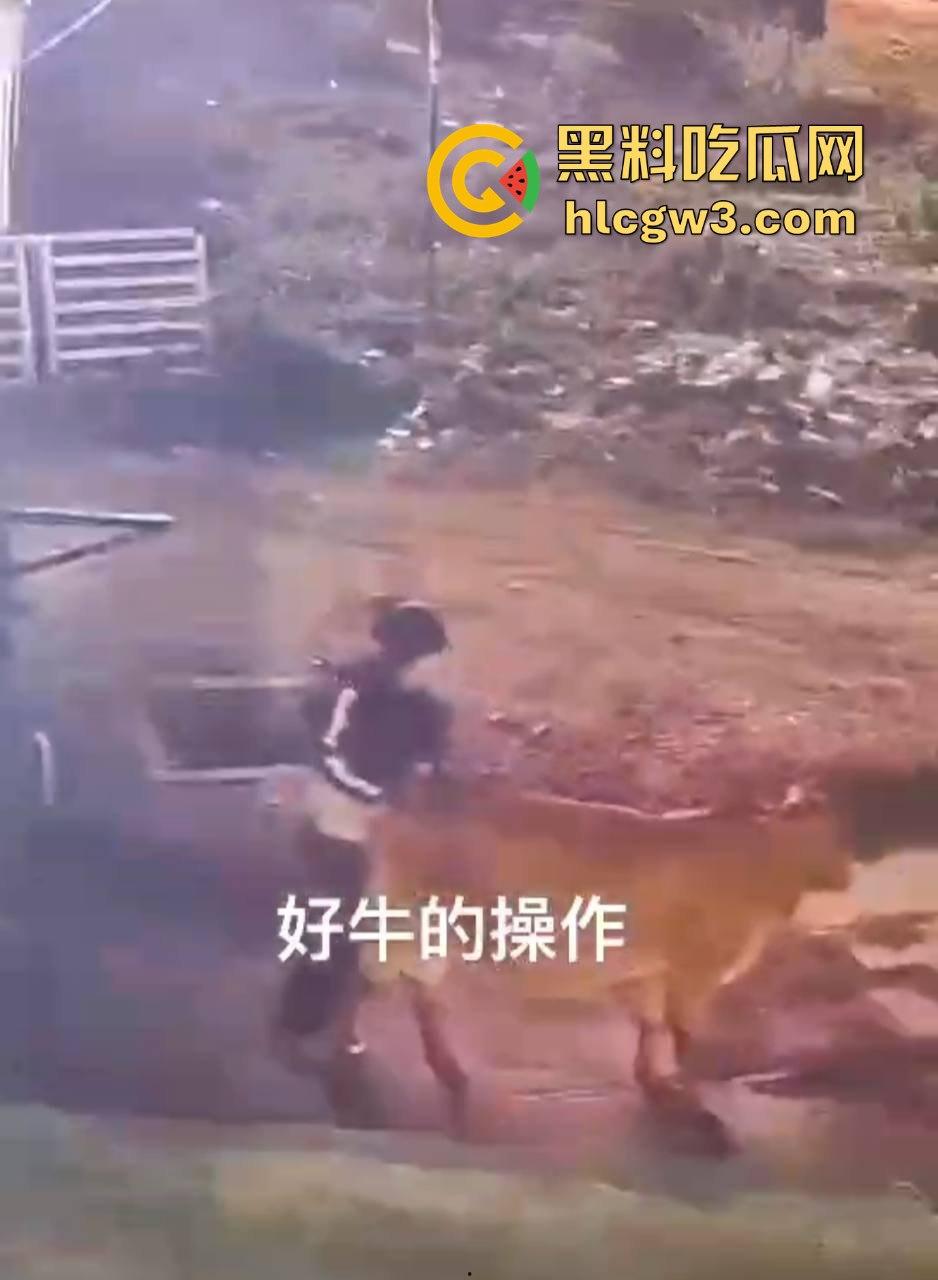 真实操兽：饥渴小哥不吹牛逼操牛逼 拔屌暴插大母牛 省钱免费逼还大 论狠人你是第一人！  第6张