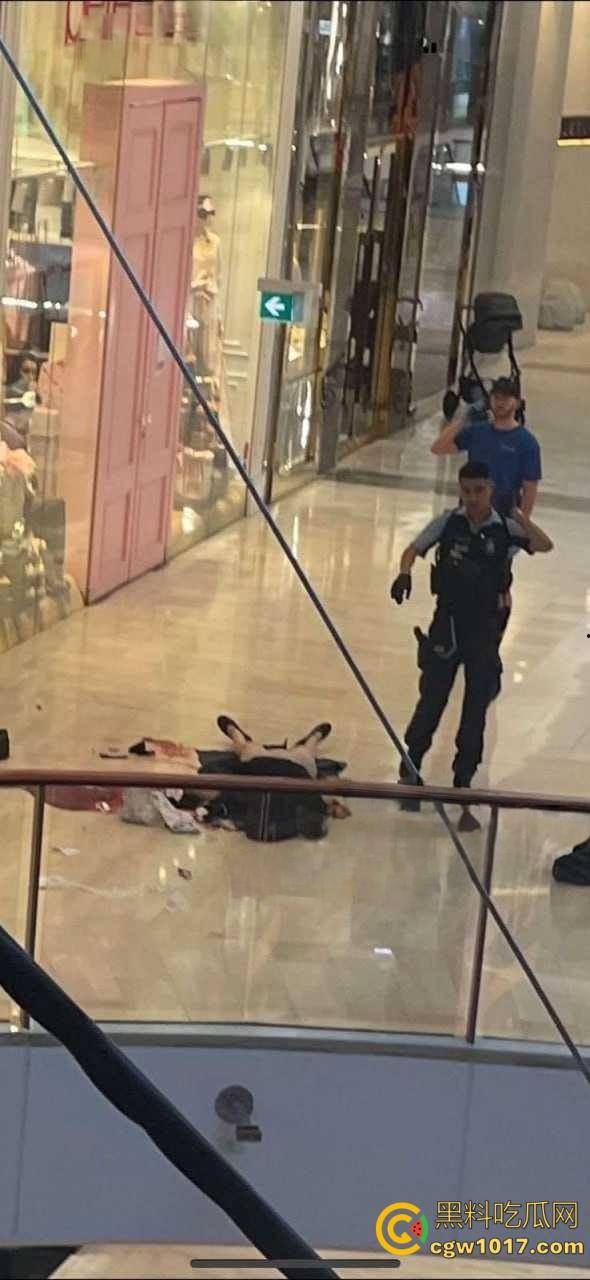 澳大利亚悉尼购物广场，发生无差别持刀砍人事件，网传现场30多人被刺，商场都是尸体多人死亡 ！  第6张
