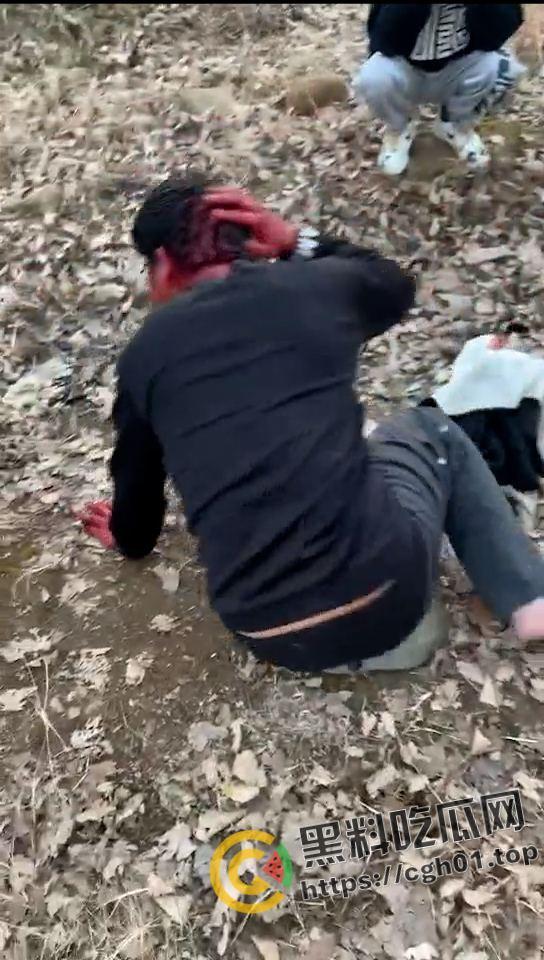 河南精神小伙霸凌同学 打的浑身是血求饶 头发被染红 河南不大 创造神话  第4张