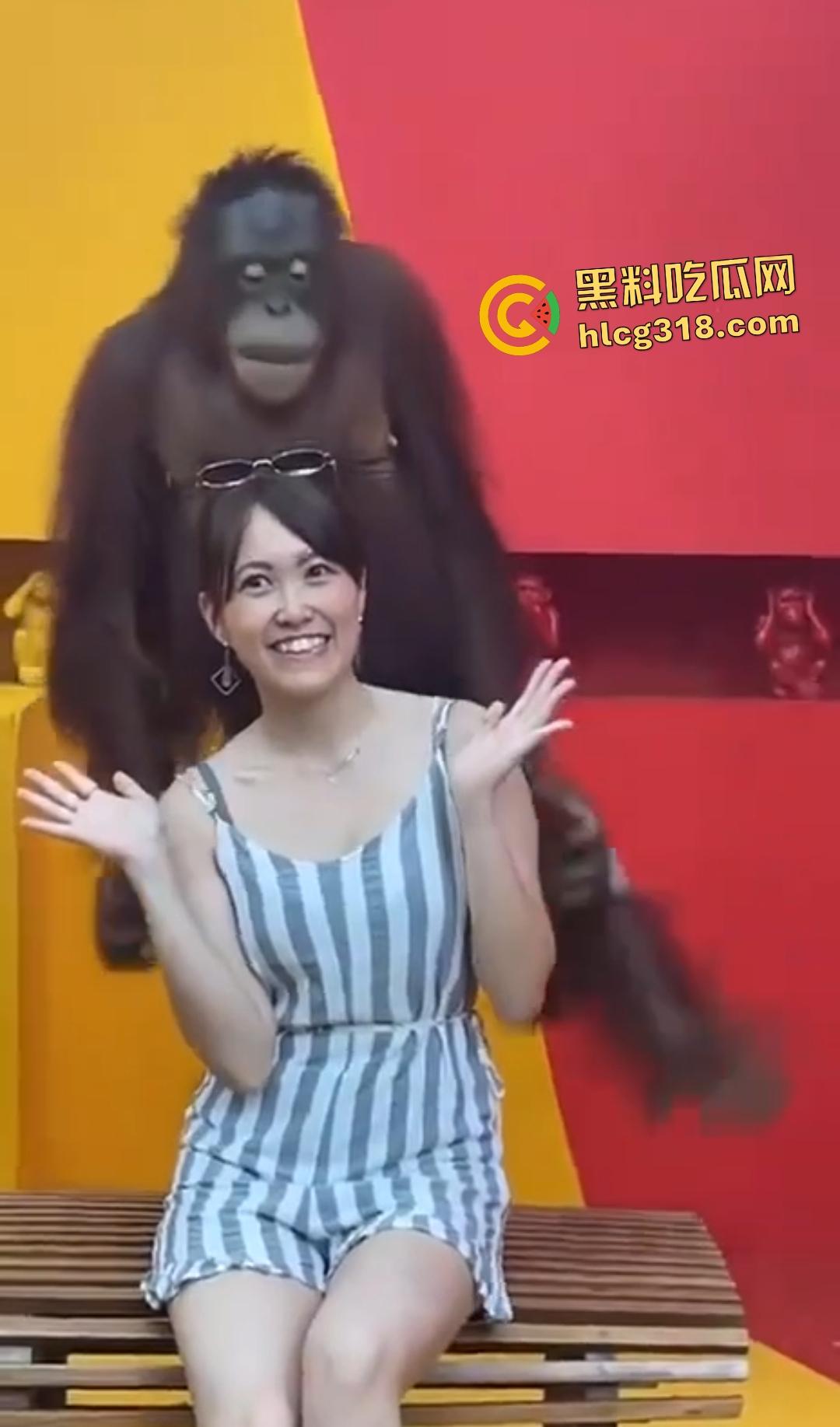 美女与猩猩合照遭“性”骚扰！亲脸抓奶牵手搞得美女笑得合不拢嘴！下辈子我也要当猩猩！  第3张