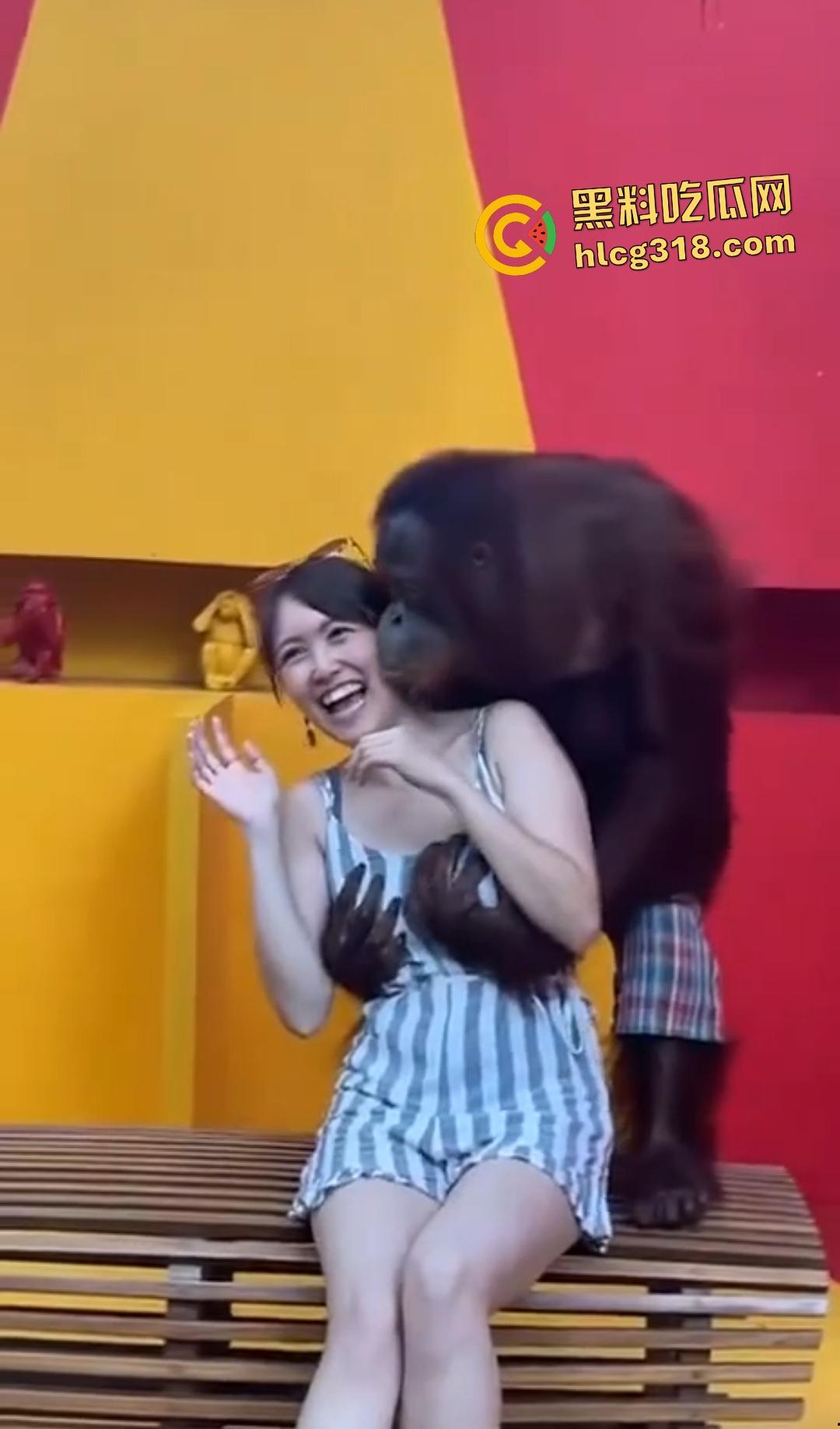 美女与猩猩合照遭“性”骚扰！亲脸抓奶牵手搞得美女笑得合不拢嘴！下辈子我也要当猩猩！  第4张
