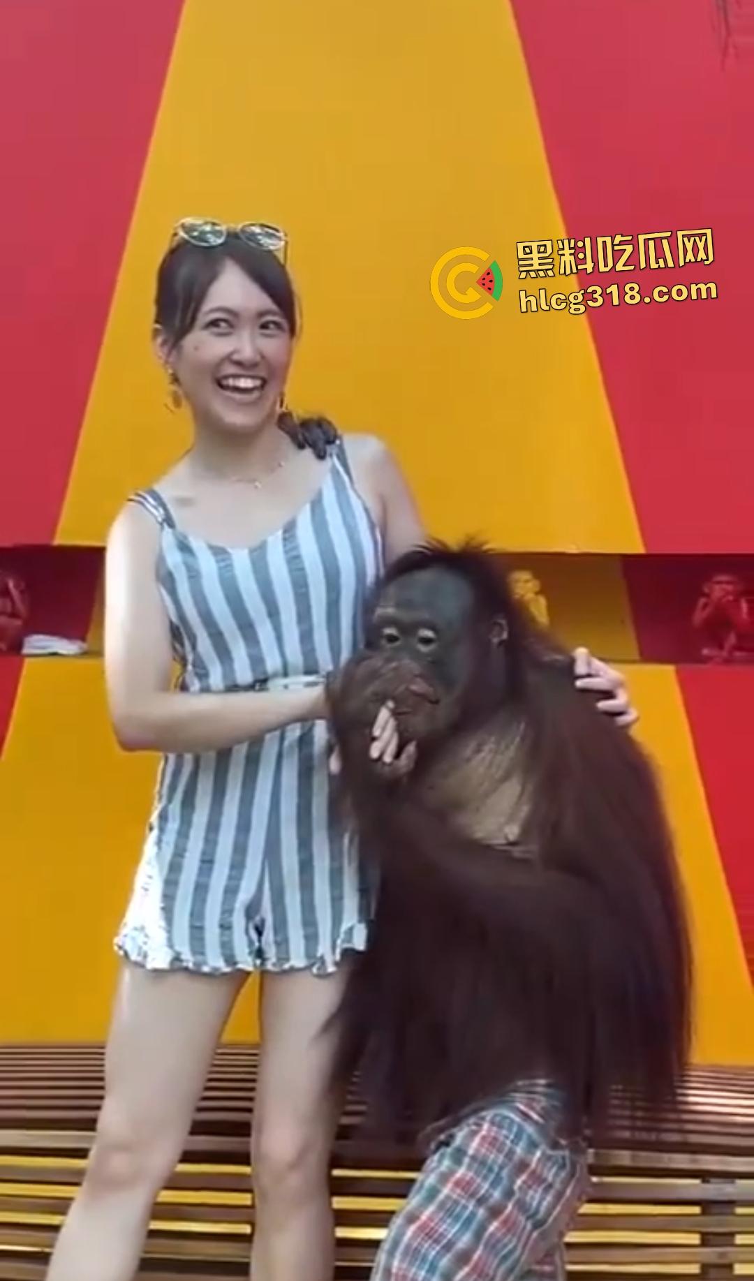 美女与猩猩合照遭“性”骚扰！亲脸抓奶牵手搞得美女笑得合不拢嘴！下辈子我也要当猩猩！  第6张