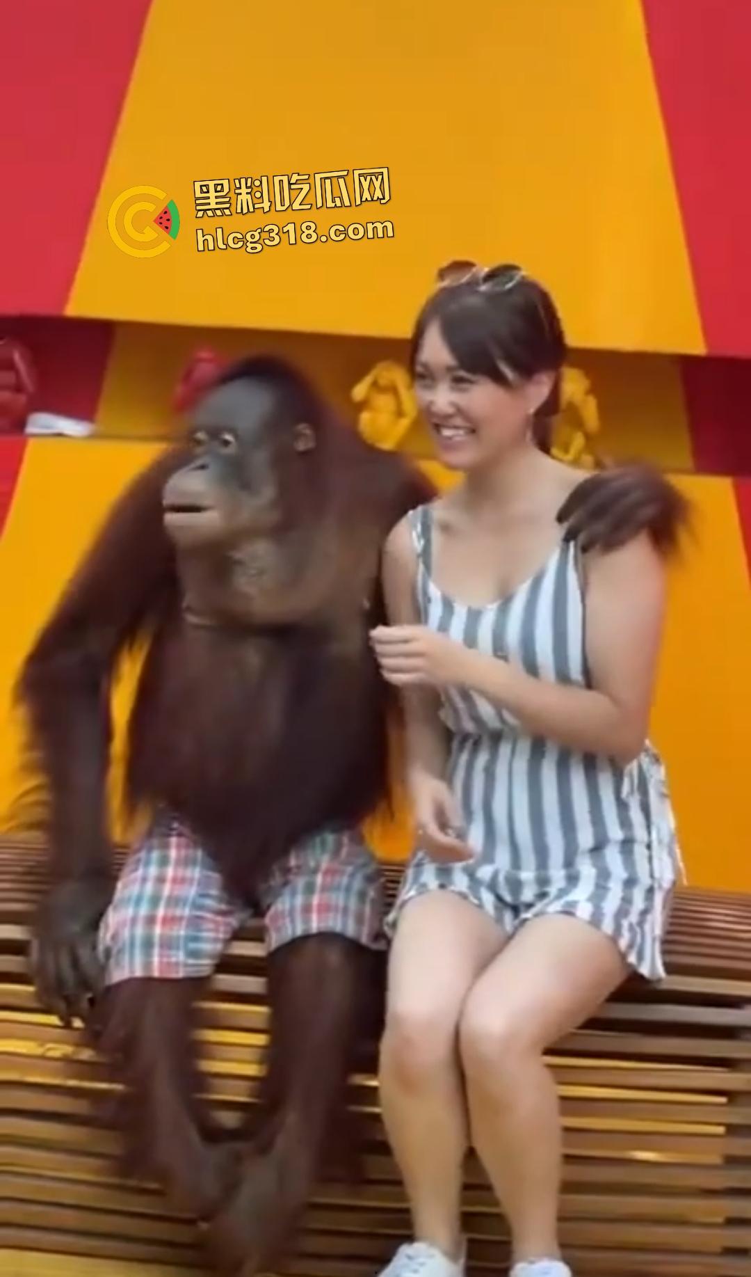 美女与猩猩合照遭“性”骚扰！亲脸抓奶牵手搞得美女笑得合不拢嘴！下辈子我也要当猩猩！  第7张