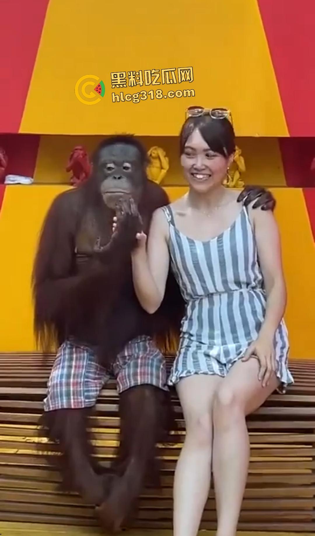 美女与猩猩合照遭“性”骚扰！亲脸抓奶牵手搞得美女笑得合不拢嘴！下辈子我也要当猩猩！  第8张