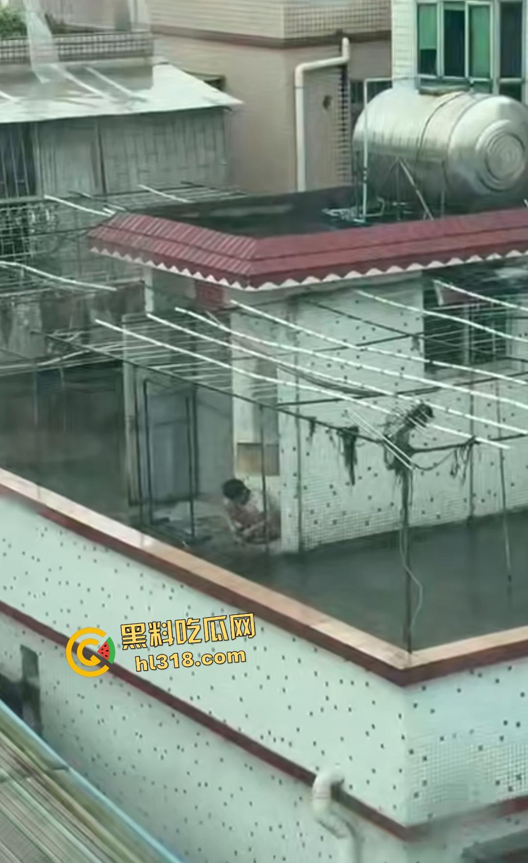 畜生小孩天台虐猫丧心病狂！甩来甩去地上狂摩擦，猫咪命悬一线，只能抓着杆子不放！  第8张