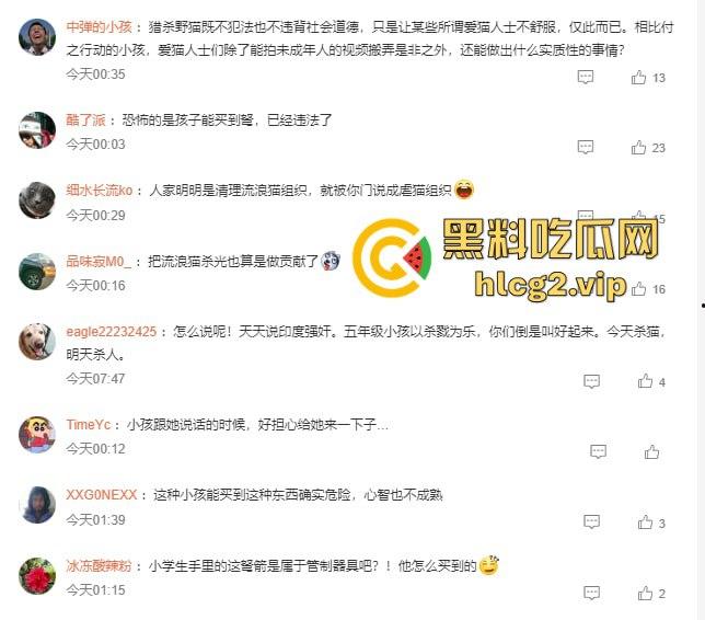 超熊男孩弩箭练杀技！虐猫升级还不够，下一步就是全家屠杀，老妈还在旁边玩消消乐  第2张