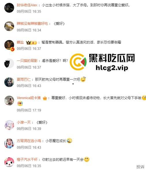 超熊男孩弩箭练杀技！虐猫升级还不够，下一步就是全家屠杀，老妈还在旁边玩消消乐  第4张