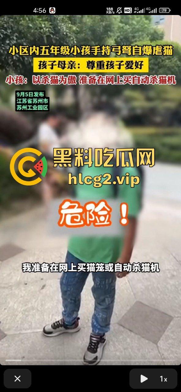 超熊男孩弩箭练杀技！虐猫升级还不够，下一步就是全家屠杀，老妈还在旁边玩消消乐  第5张