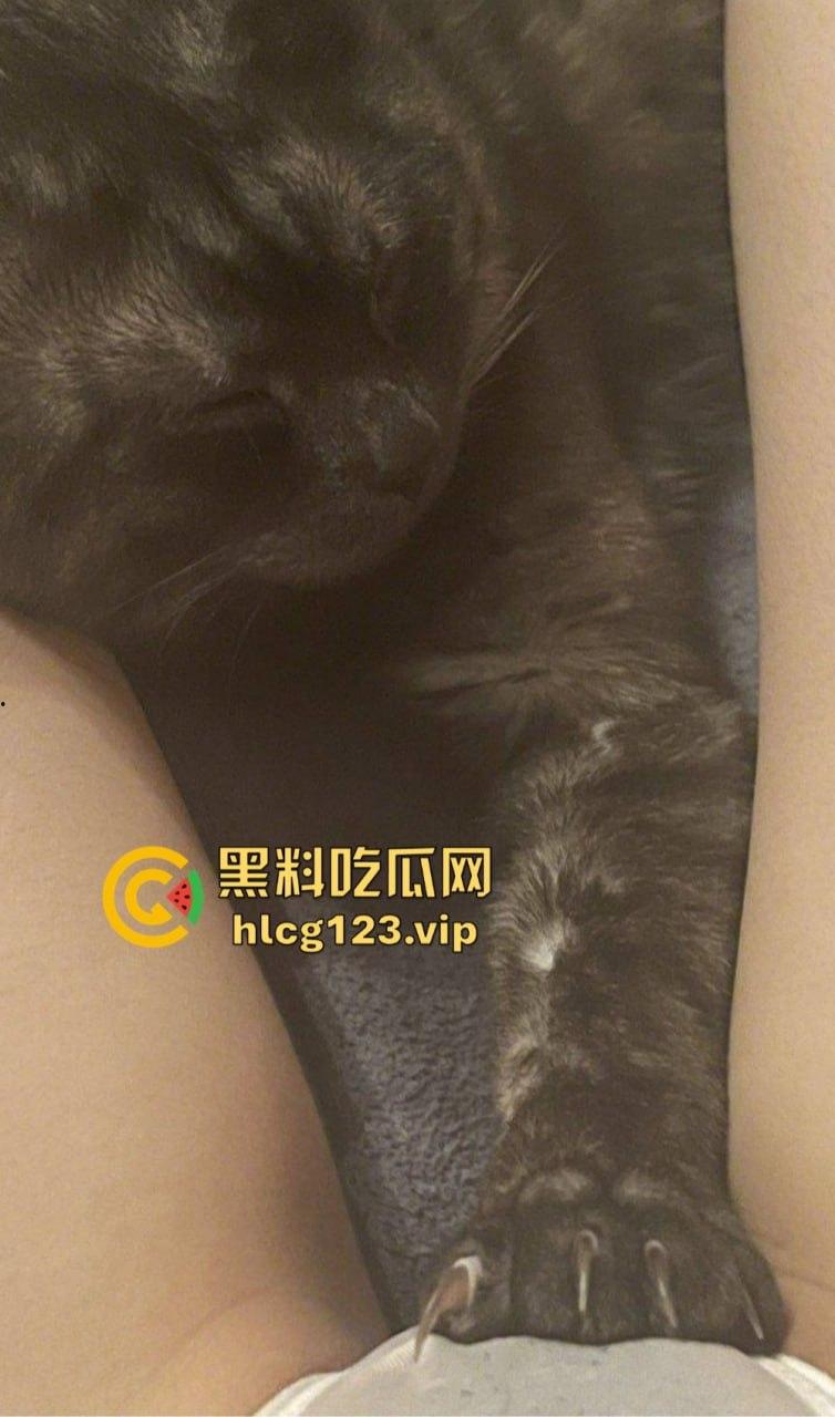 精神小骚妹独自在家玩弄自己！内内纹身自拍，抽烟玩骚，自慰爽到飞起！  第8张