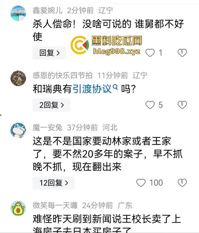 王思聪舅舅林友涉杀两任妻子震惊全网！逃亡21年后被捕，混血儿子不希望父亲死  第12张