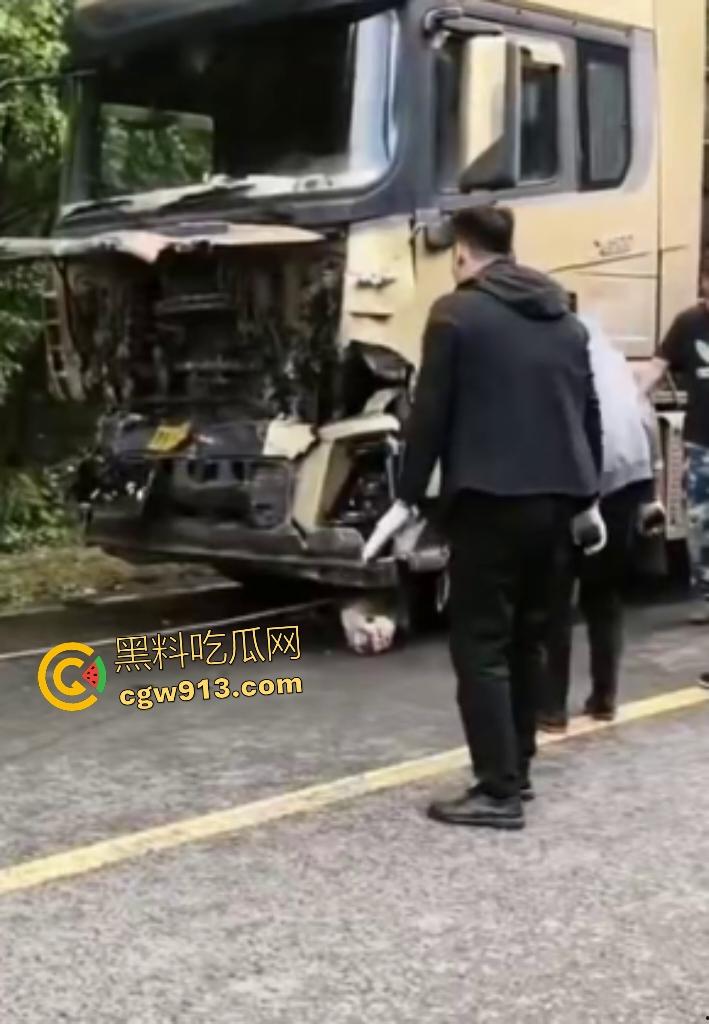 黑龙江货车狂飙撞扁16头活牛，尸体拉长成肉泥，丢草丛无人收，这下司机要赔得血本无归！  第1张