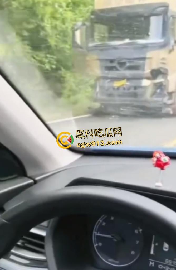 黑龙江货车狂飙撞扁16头活牛，尸体拉长成肉泥，丢草丛无人收，这下司机要赔得血本无归！  第2张