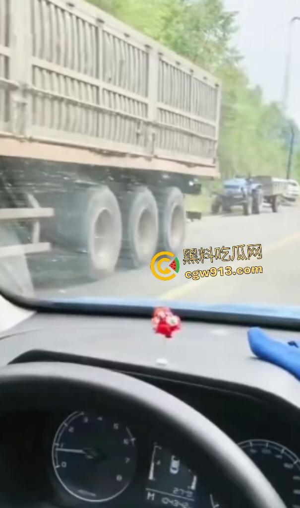 黑龙江货车狂飙撞扁16头活牛，尸体拉长成肉泥，丢草丛无人收，这下司机要赔得血本无归！  第3张