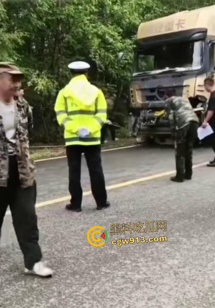 黑龙江货车狂飙撞扁16头活牛，尸体拉长成肉泥，丢草丛无人收，这下司机要赔得血本无归！  第4张