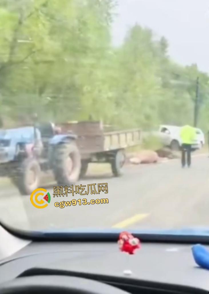 黑龙江货车狂飙撞扁16头活牛，尸体拉长成肉泥，丢草丛无人收，这下司机要赔得血本无归！  第8张