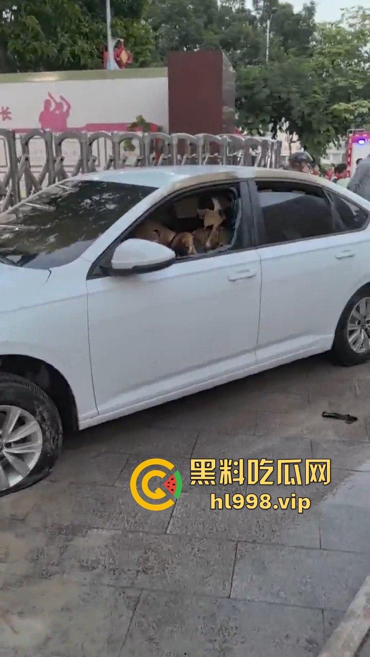 福建云霄县女司机火烧车疯狂冲撞学校！8人血洒当场，司机惨死！警方紧急调查背后真相！  第12张