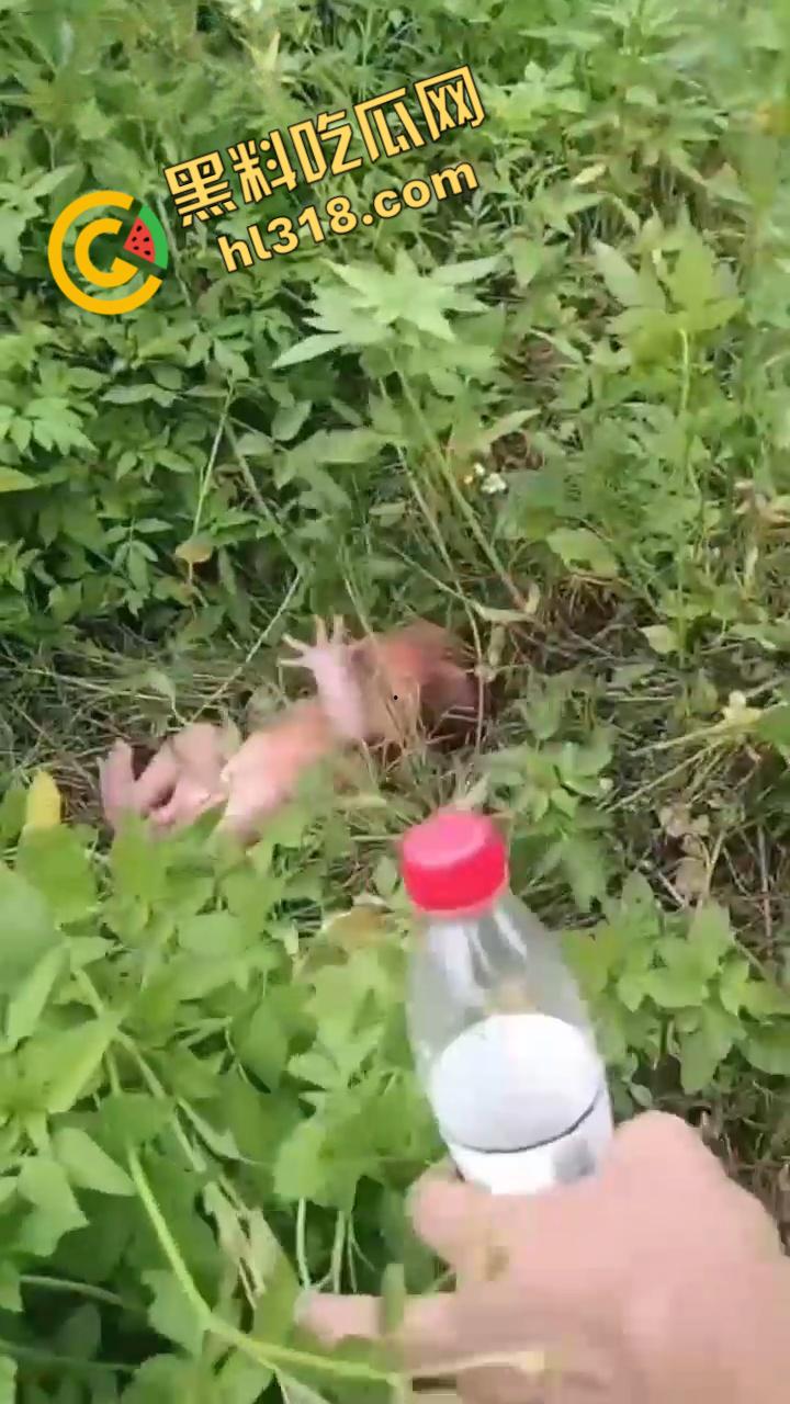 黑料正能量，福建福清市宏路公园发现一名弃婴，连脐带都没剪断，不幸中的万幸，得好心大娘救助！  第2张