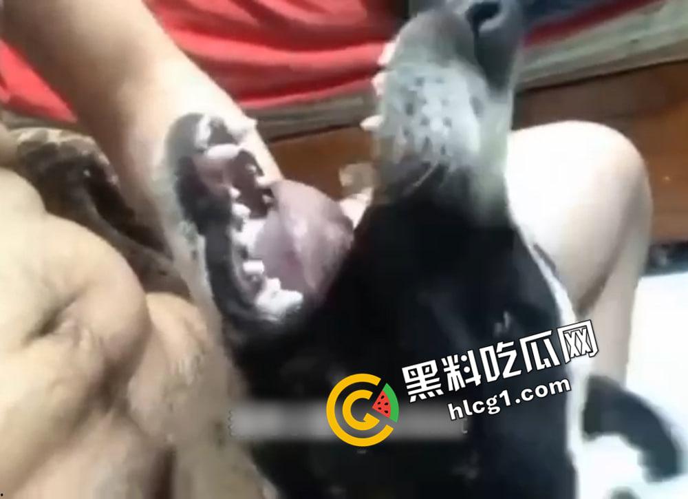 变态人兽！逆天已经无法形容这群人了 兔子飞机杯 鲤鱼阳具 狗都要开发肛门  第2张