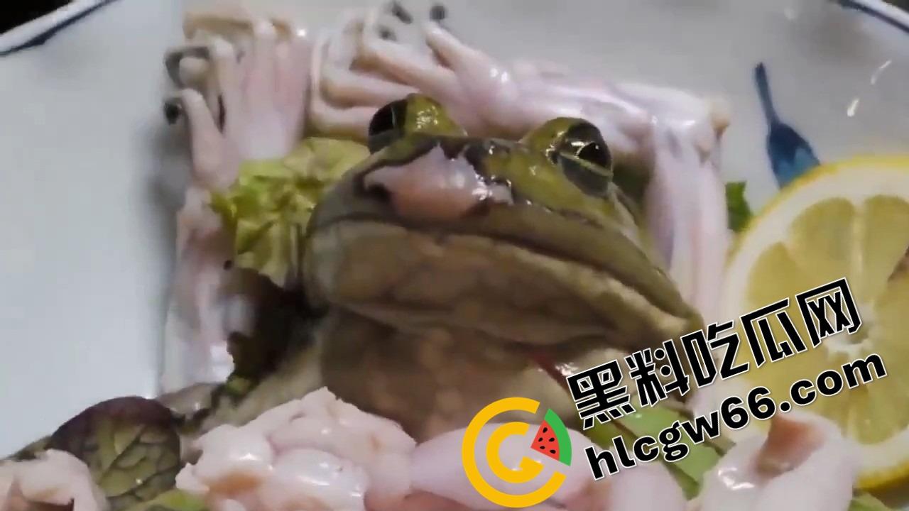 蛙蛙刺身，现杀现吃！上半身还在挣扎，下半身已经下肚，小日子这口味是真敢整！  第1张