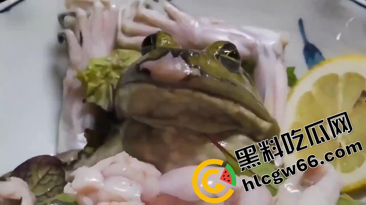 蛙蛙刺身，现杀现吃！上半身还在挣扎，下半身已经下肚，小日子这口味是真敢整！  第6张