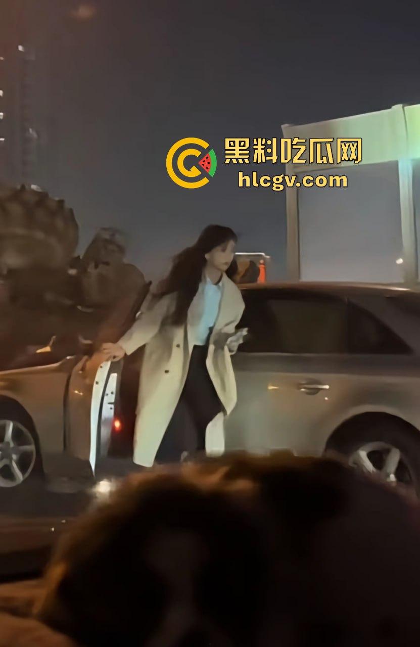 全网疯找风衣奥迪姐！晚风拂黑发，奥迪掀半挂A4稳坐高速，一掀半挂成神作，优雅永不过时！  第15张