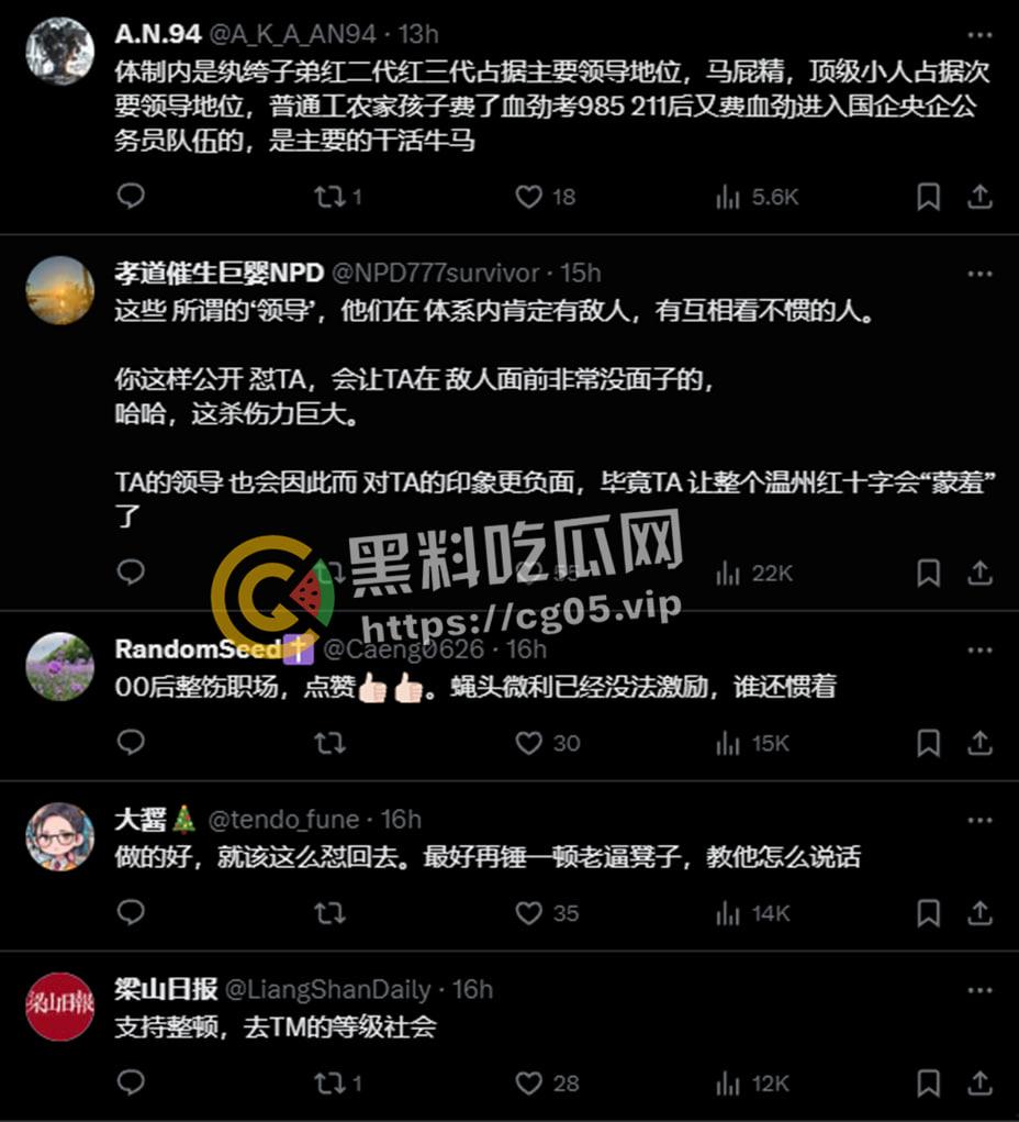 微博抖音狂删贴！00后女孩【诸葛妙妙】浙江政府钉钉群内狂怼辱骂自己的领导 00后整顿职场的时候到了  第6张