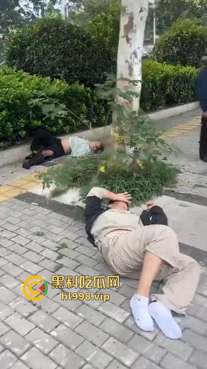 安徽蚌埠车祸致3死3伤！理想司机大喊刹不住，智能系统成悲剧导火索，警方通报引发热议！  第9张