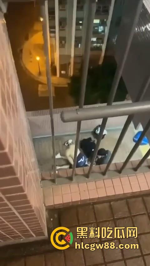 热门事件！香港屋苑平台3P野战偷拍！女孩被2男前后夹击操的热火朝天 跪地被猛插口爆刺激！  第4张