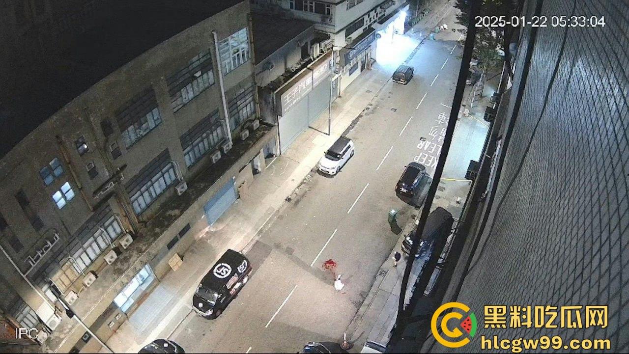 现实黑社会香港选坐馆前的争斗，【胜和】骨干被【新义安】众刀手驾车包抄，乱刀追砍搏杀至死  第6张